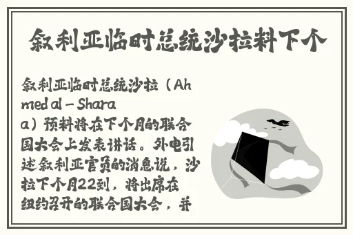 欧亚尺码专线欧洲B1B1