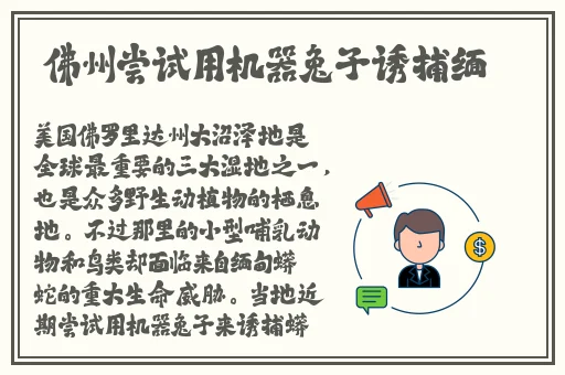 李师师的三㚫港版情头